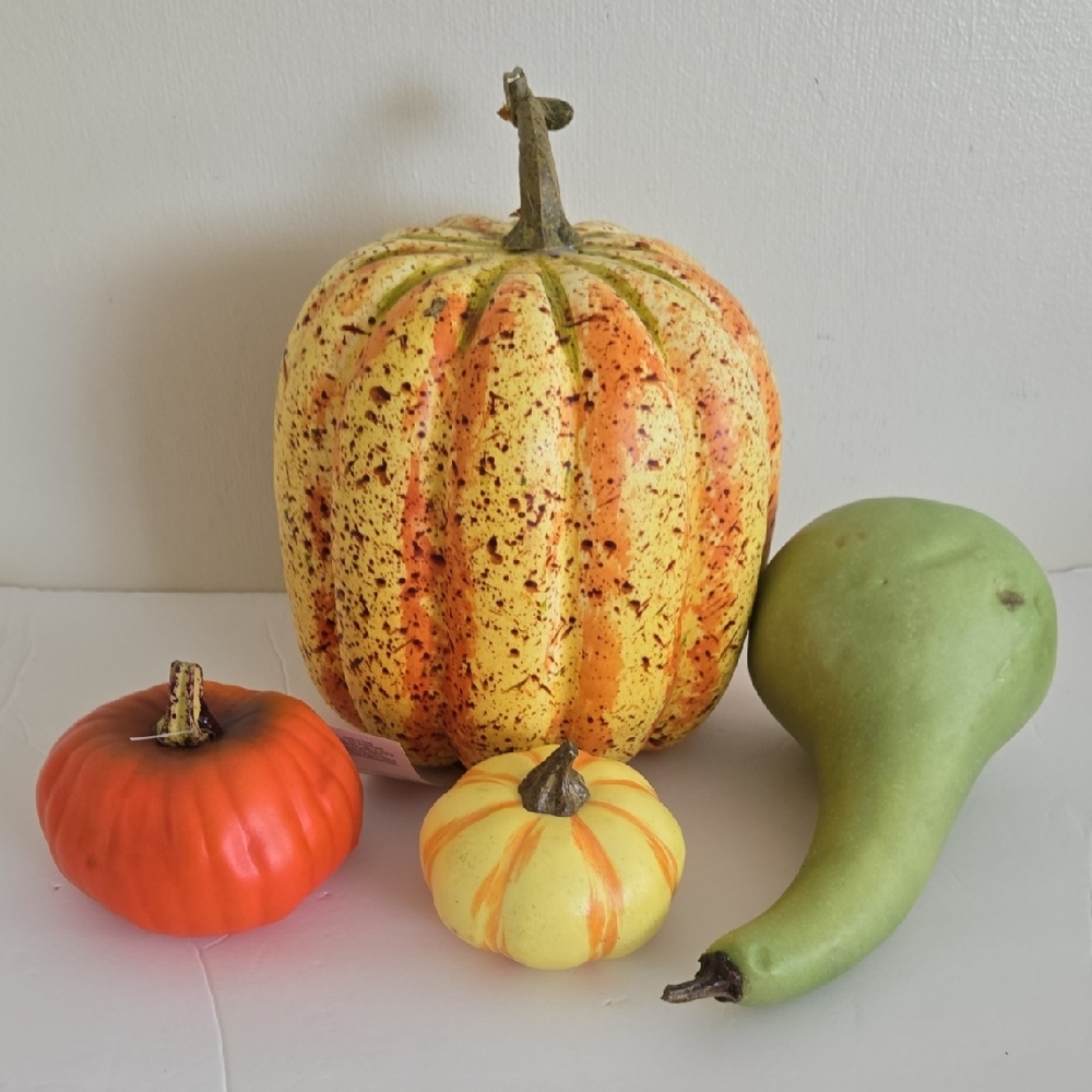4 Piece Colorful Fall Decorative Pumkin Gourd Set